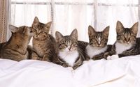 Famille