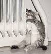 Radiateur
