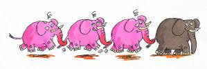 Elephant_3