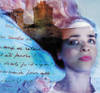 Photo11