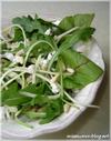 Salade