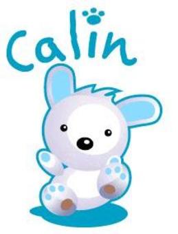 Calin_1_2