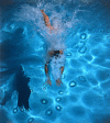 Flippant_venus_plunge