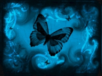 Papillon1