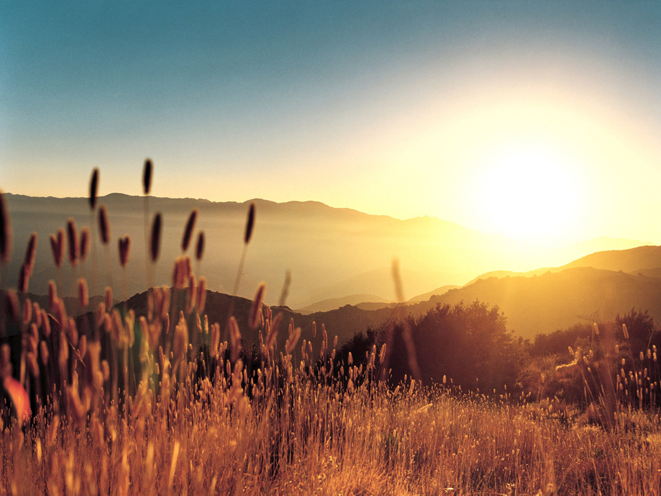 Beautiful_sunrise_2