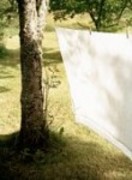 Draps_qui_schent