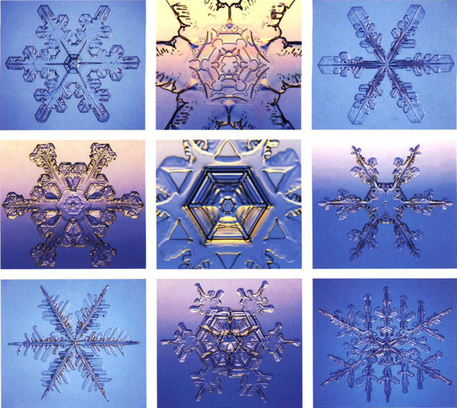 Flocons_3