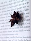 Douceur_de_lire_2