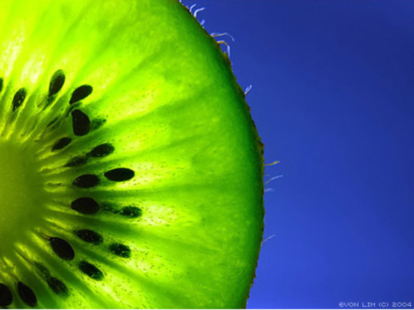 Kiwi_2