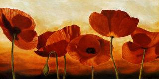Coquelicots