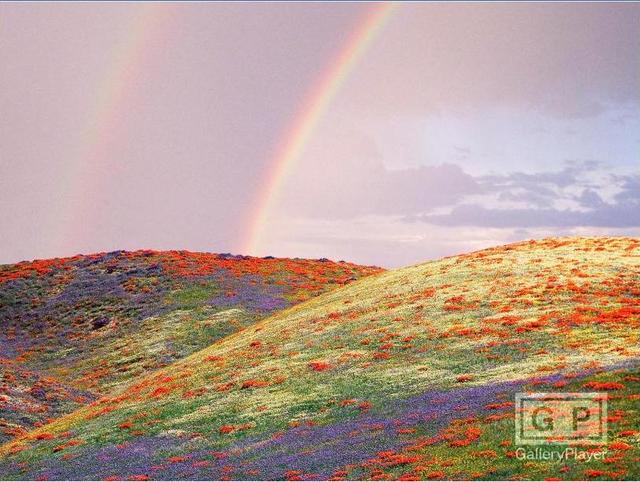 Rainbow_2