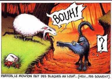 Pas_peur_du_loup_4