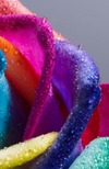 Couleurs