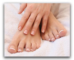 Foot
