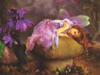 Sleeping_fairy