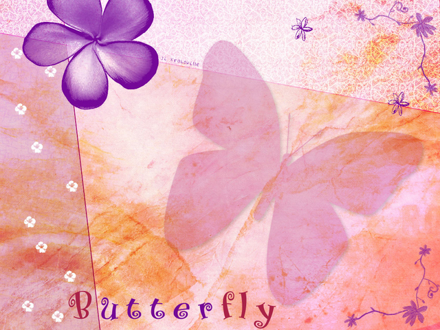 Butterfly