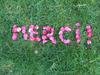 Merci2