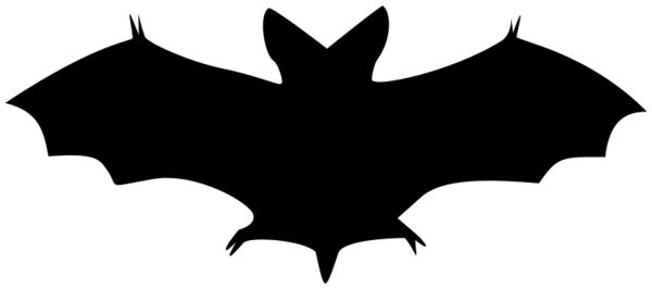 Black_shadow_2