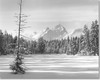 Paysage_blanc