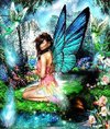 Transforme