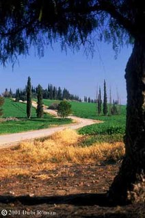 Notre_chemin_2