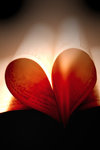 Bouquiner_2