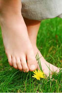 Foot