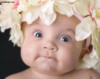 Babies_50_2