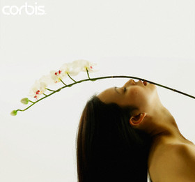 Orchide_2