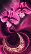 Univers_sensuel
