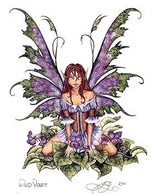 Wildviolet_5