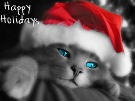 Holidays_2
