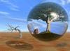 Bulle