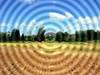 Campagne_frmissante