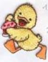 Canard