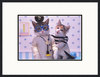 Cat_doctor