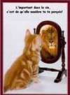 Chat_1