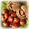 Chatagne