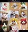 Chats