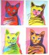 Chats_1