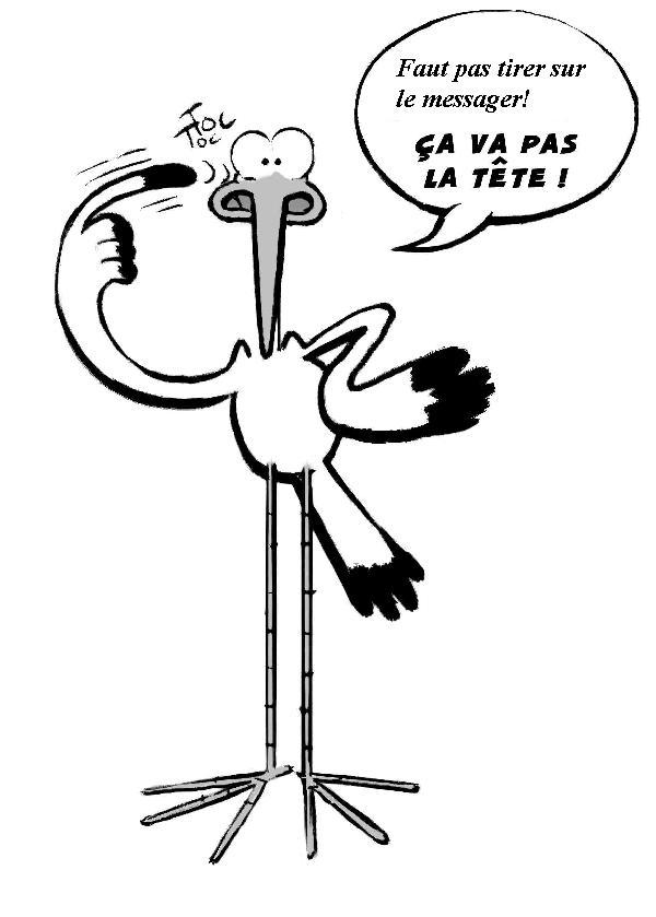 Cigogne1_2