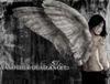 Dead_angel