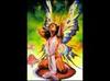 Des_ailes