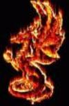 Dragon_de_feu