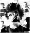 Dtruite_1