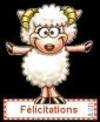 Flicitations