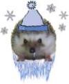 Froid