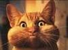 Grimace