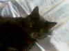 Img0407221738