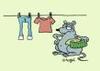 Lessive_1